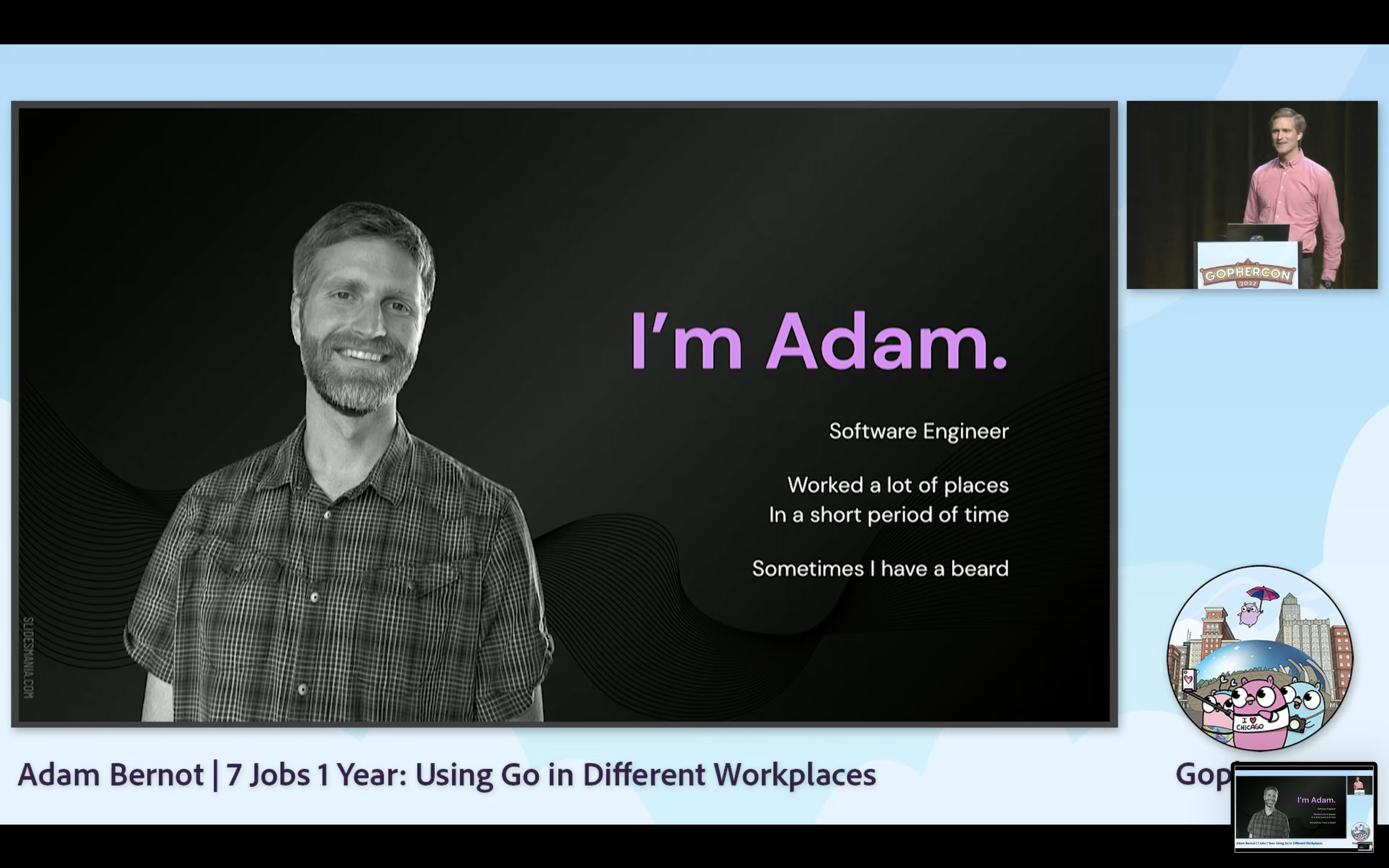 7 Jobs, 1 Year: Using Go in Different Workplaces
